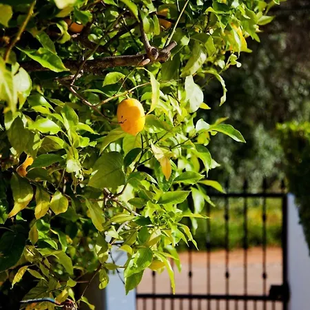 Casa Limao 波尔蒂芒